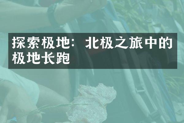 探索极地：北极之旅中的极地长跑