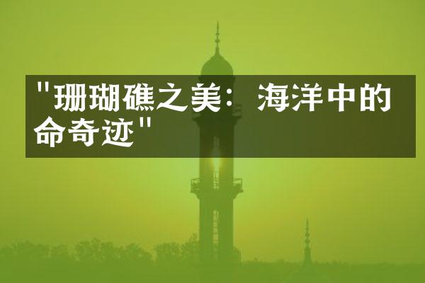"珊瑚礁之美：海洋中的生命奇迹"