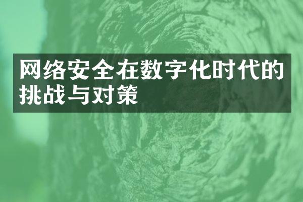 网络安全在数字化时代的挑战与对策