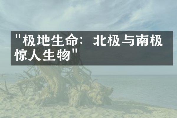 "极地生命：北极与南极的惊人生物"