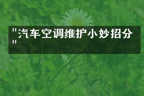"汽车空调维护小妙招分享"
