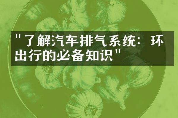 "了解汽车排气系统：环保出行的必备知识"