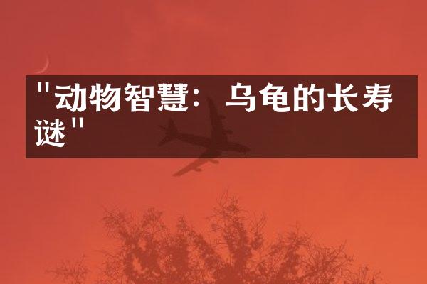 "动物智慧：乌龟的长寿之谜"