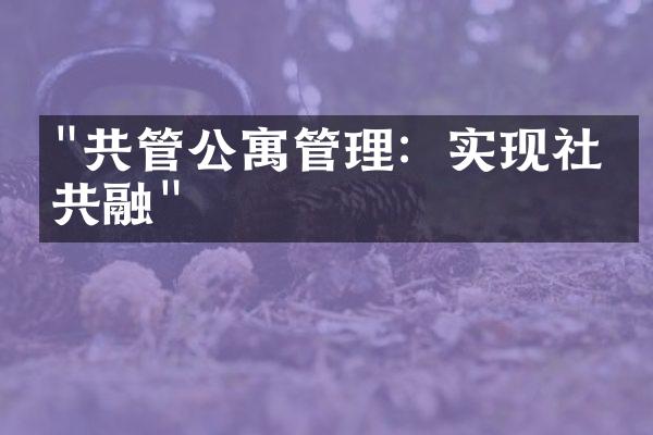 "共管公寓管理：实现社区共融"