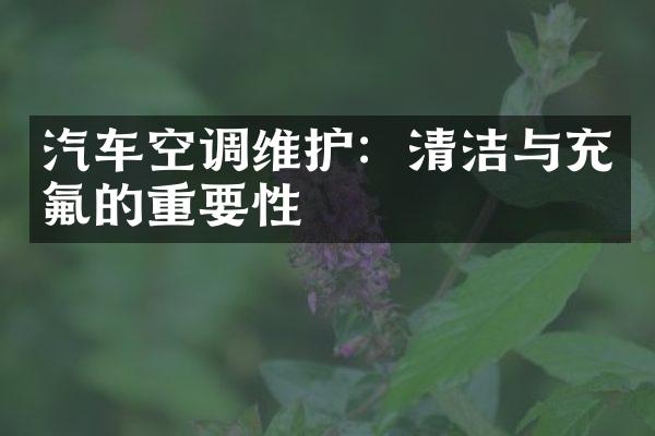 汽车空调维护：清洁与充氟的重要性