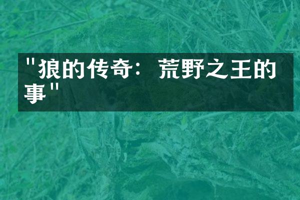 "狼的传奇：荒野之王的故事"