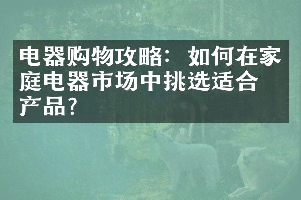 电器购物攻略：如何在家庭电器市场中挑选适合的产品？