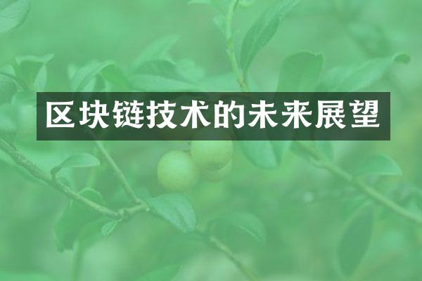 区块链技术的未来展望
