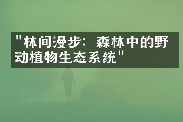 "林间漫步：森林中的野生动植物生态系统"