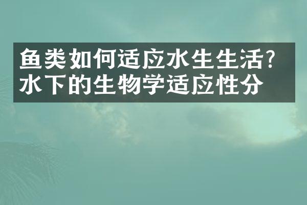 鱼类如何适应水生生活？水下的生物学适应性分析