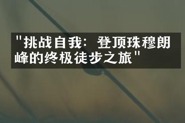 "挑战自我：登顶珠穆朗玛峰的终极徒步之旅"
