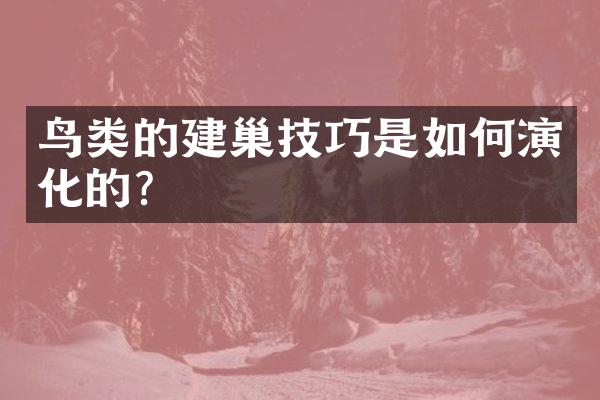 鸟类的建巢技巧是如何演化的？