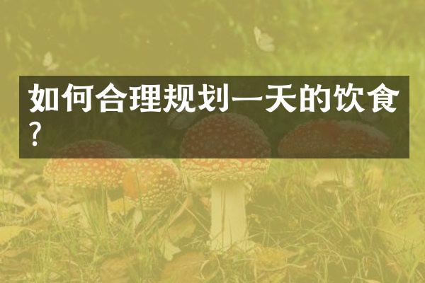 如何合理规划一天的饮食？