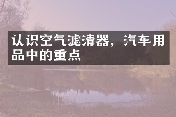 认识空气滤清器，汽车用品中的重点