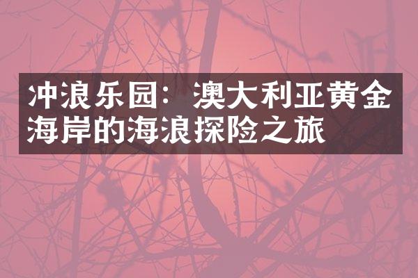 冲浪乐园：澳大利亚黄金海岸的海浪探险之旅