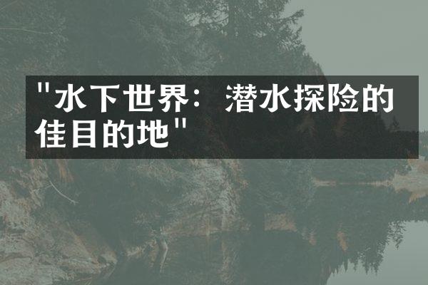 "水下世界：潜水探险的最佳目的地"