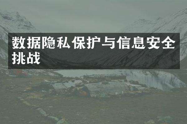 数据隐私保护与信息安全挑战
