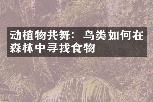 动植物共舞：鸟类如何在森林中寻找食物