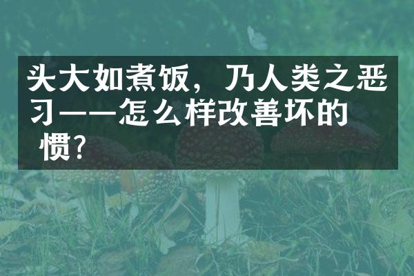 头大如煮饭，乃人类之恶习——怎么样改善坏的习惯？