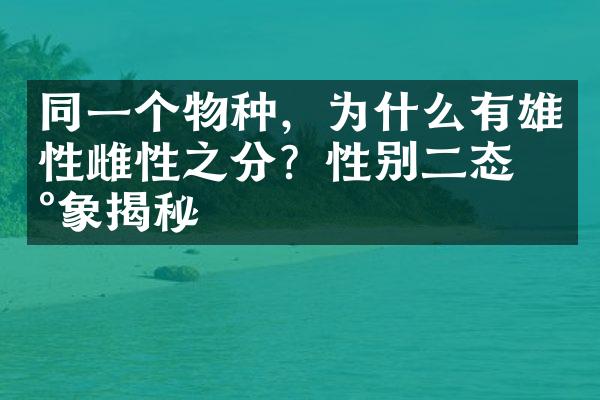 同一个物种，为什么有雄性雌性之分？性别二态现象揭秘