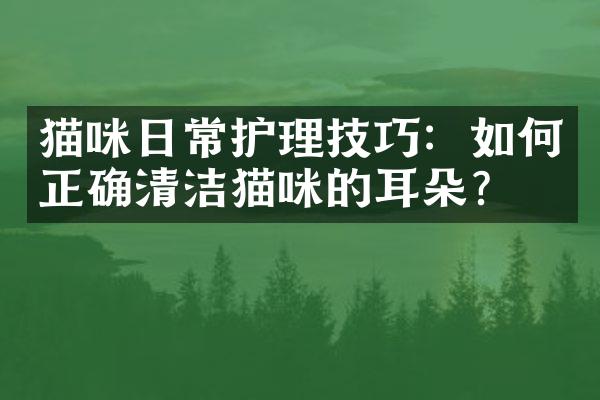 猫咪日常护理技巧：如何正确清洁猫咪的耳朵？