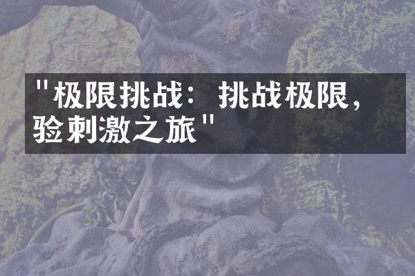 "极限挑战：挑战极限，体验刺激之旅"