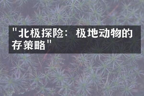 "北极探险：极地动物的生存策略"
