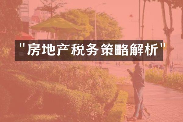 "房地产税务策略解析"