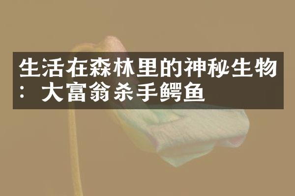 生活在森林里的神秘生物：大富翁杀手鳄鱼