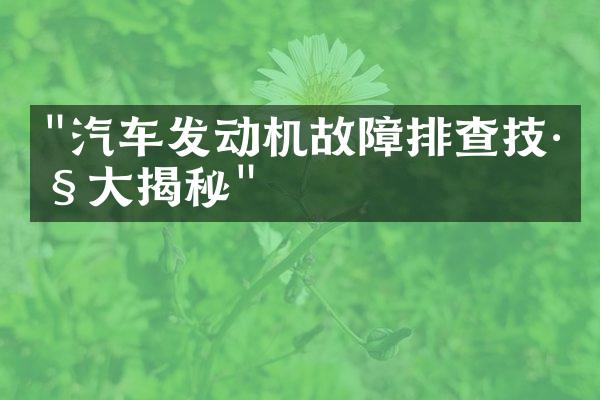 "汽车发动机故障排查技巧大揭秘"