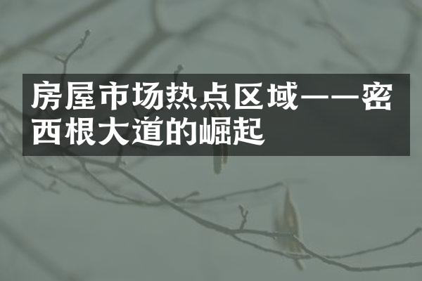 房屋市场热点区域——密西根大道的崛起