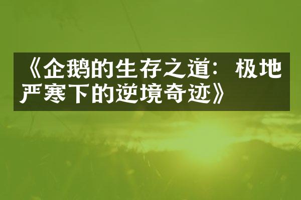 《企鹅的生存之道：极地严寒下的逆境奇迹》