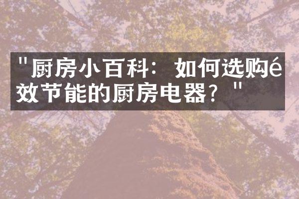 "厨房小百科：如何选购高效节能的厨房电器？"