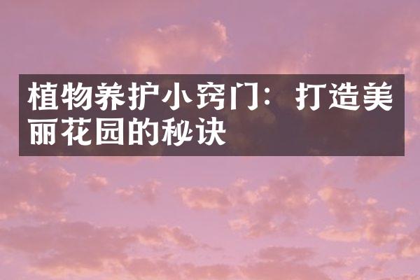 植物养护小窍门：打造美丽花园的秘诀