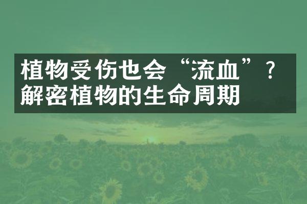植物受伤也会“流血”？解密植物的生命周期