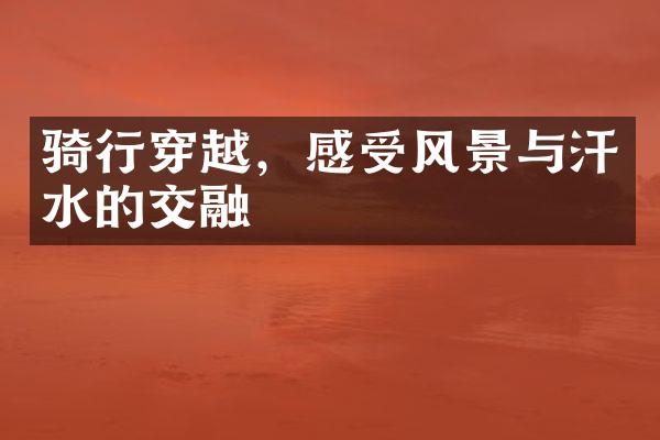 骑行穿越，感受风景与汗水的交融
