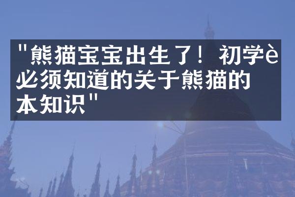 "熊猫宝宝出生了！初学者必须知道的关于熊猫的基本知识"