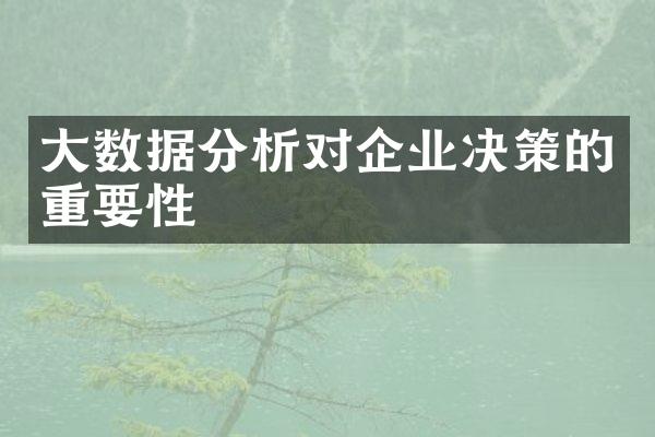 大数据分析对企业决策的重要性