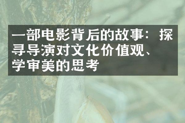 一部电影背后的故事：探寻导演对文化价值观、美学审美的思考