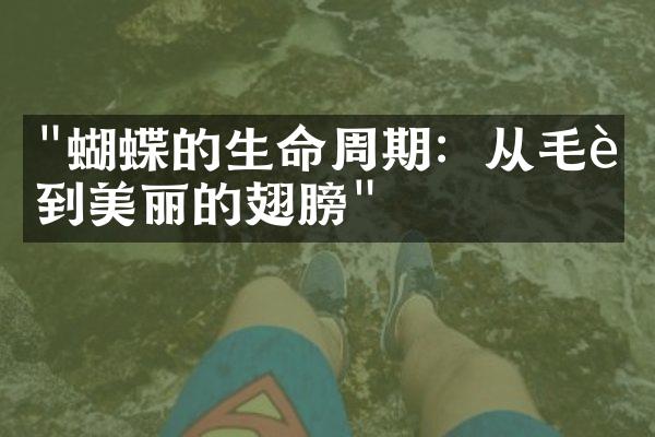 "蝴蝶的生命周期：从毛虫到美丽的翅膀"