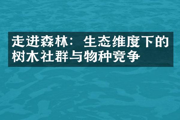 走进森林：生态维度下的树木社群与物种竞争