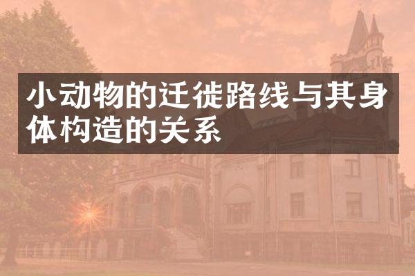 小动物的迁徙路线与其身体构造的关系