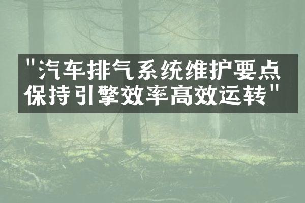 "汽车排气系统维护要点：保持引擎效率高效运转"