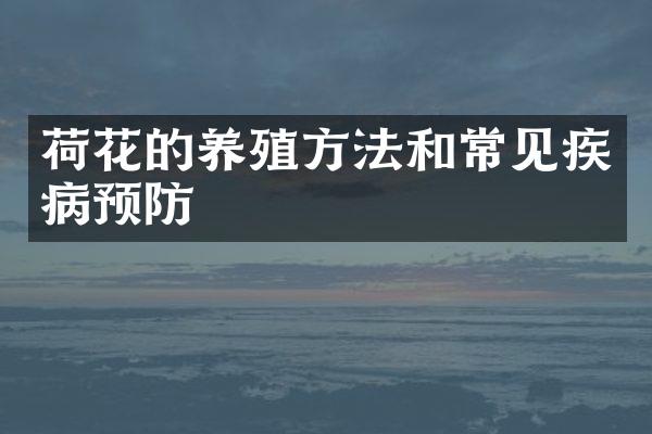 荷花的养殖方法和常见疾病预防