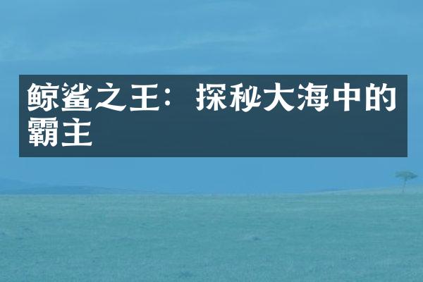鲸鲨之王：探秘大海中的霸主