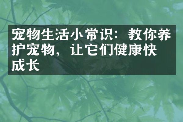 宠物生活小常识：教你养护宠物，让它们健康快乐成长