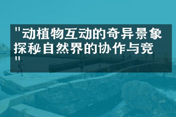 "动植物互动的奇异景象：探秘自然界的协作与竞争"