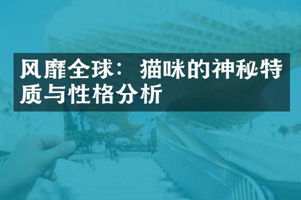 风靡全球：猫咪的神秘特质与性格分析