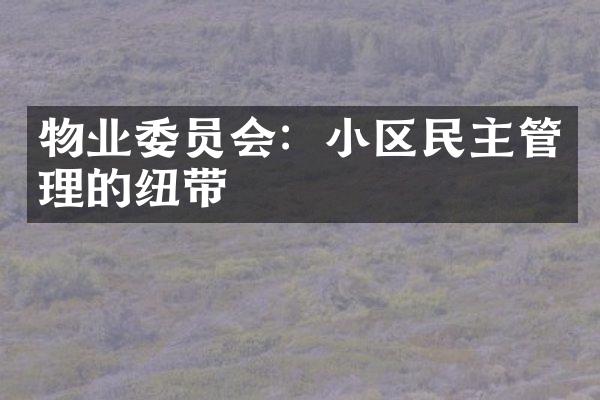 物业委员会：小区民主管理的纽带