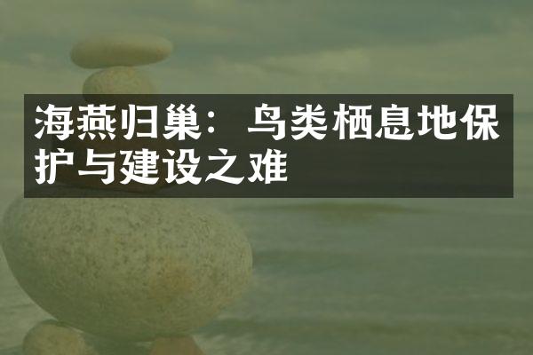 海燕归巢：鸟类栖息地保护与建设之难